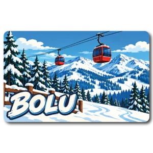 Bolu Düz 06 magnet modeli, TrendMagnets
