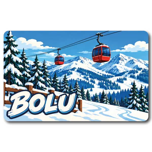Bolu Düz 06 magnet modeli, TrendMagnets
