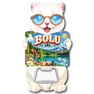 Bolu Kedi Acacak 02 magnetli şişe açacağı, TrendMagnets